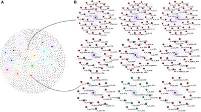 Genome and transcriptome-wide study of carbamoyltransferase genes in major fleshy fruits: A multi-omics study of evolution and functional significance